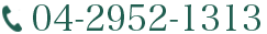 04-2952-1313