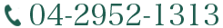 04-2952-1313