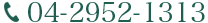 04-2952-1313