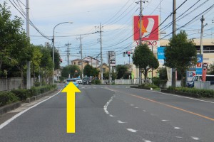 06