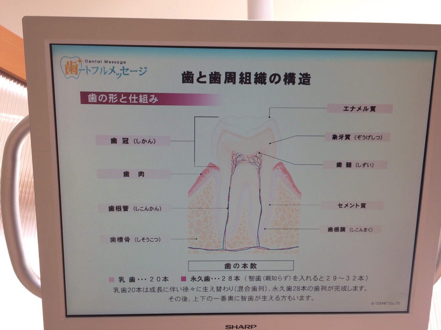 image_2199027