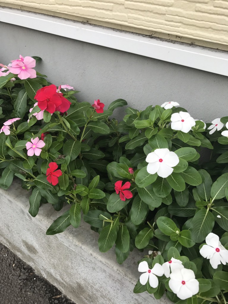 Image_70e706c