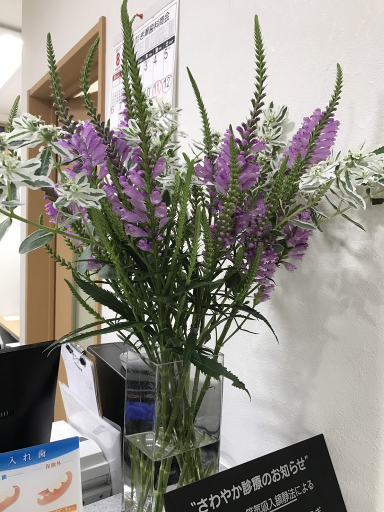 Image_fe156f8